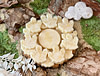 Caramel Cashmere Soy Wax Melt Crystals - Image 2