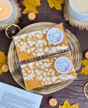 Pumpkin Patch Soy Wax Melt Geode Bars