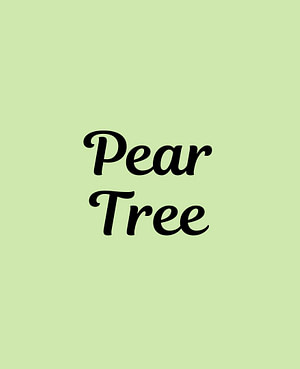 Partridge In A Pear Tree Soy Wax Melt Crystals